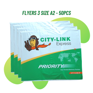 City-Link Flyer 3 (45.5cm x 37.5cm) - 50pcs